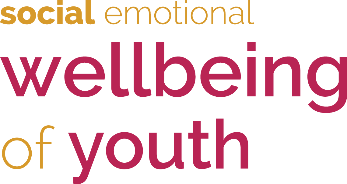 social emotional wellbeing of children