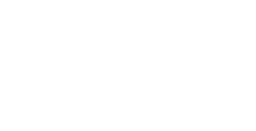 OUR VALUES We are committed to leveraging our resources to: INSPIRE BOLD GOALS. THINK BIG. We challenge the boundarie...