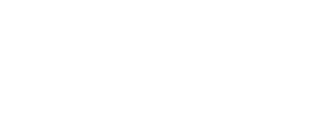 Driving Regional Transformation 